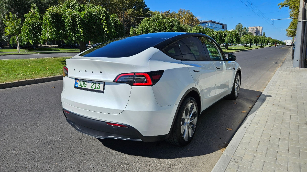 Tesla Model Y foto 0