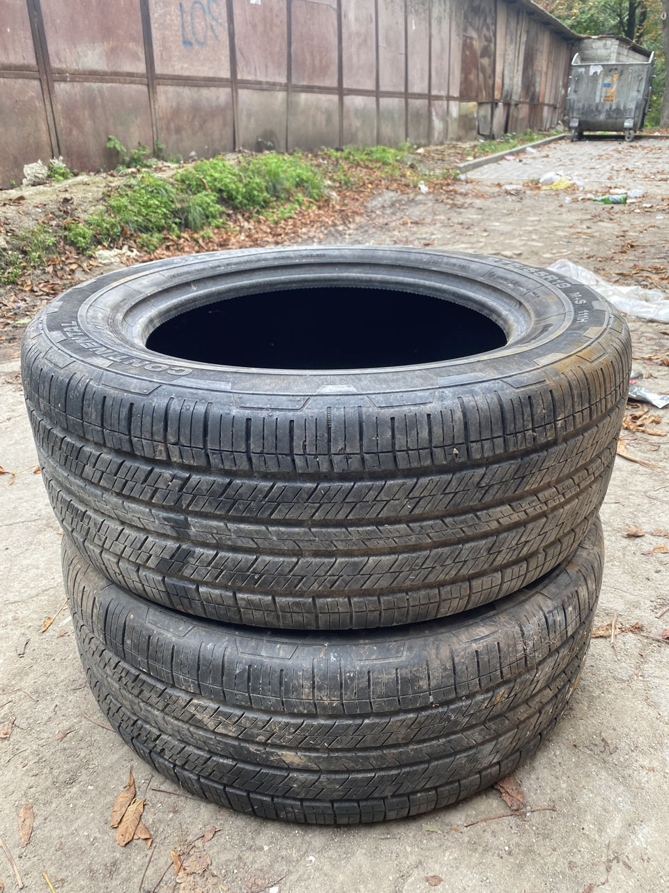 275 55 R19