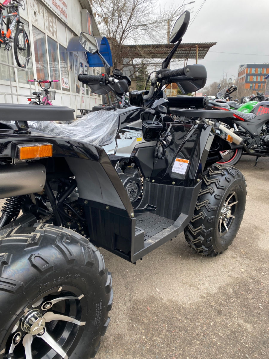 Viper 250 foto 12