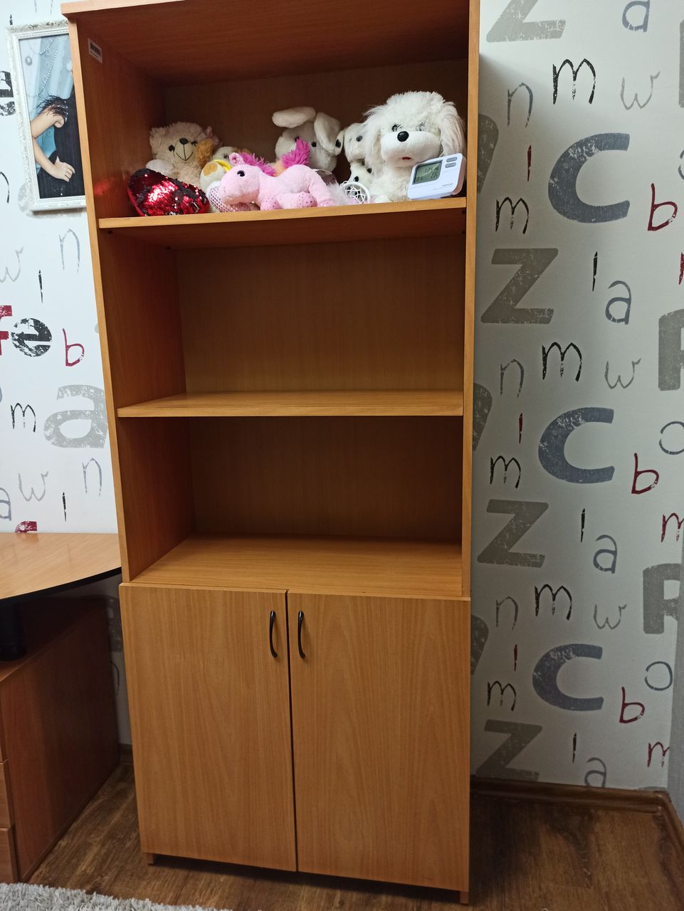 Письменный стол и книжный шкаф
