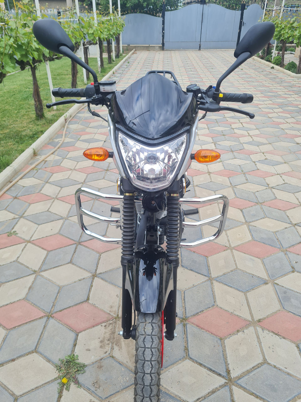 Viper 250 foto 5