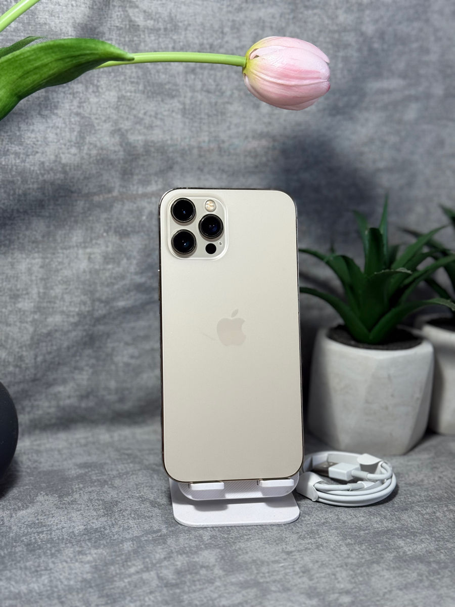 iPhone 12 Pro Max 256 Gb foto 1