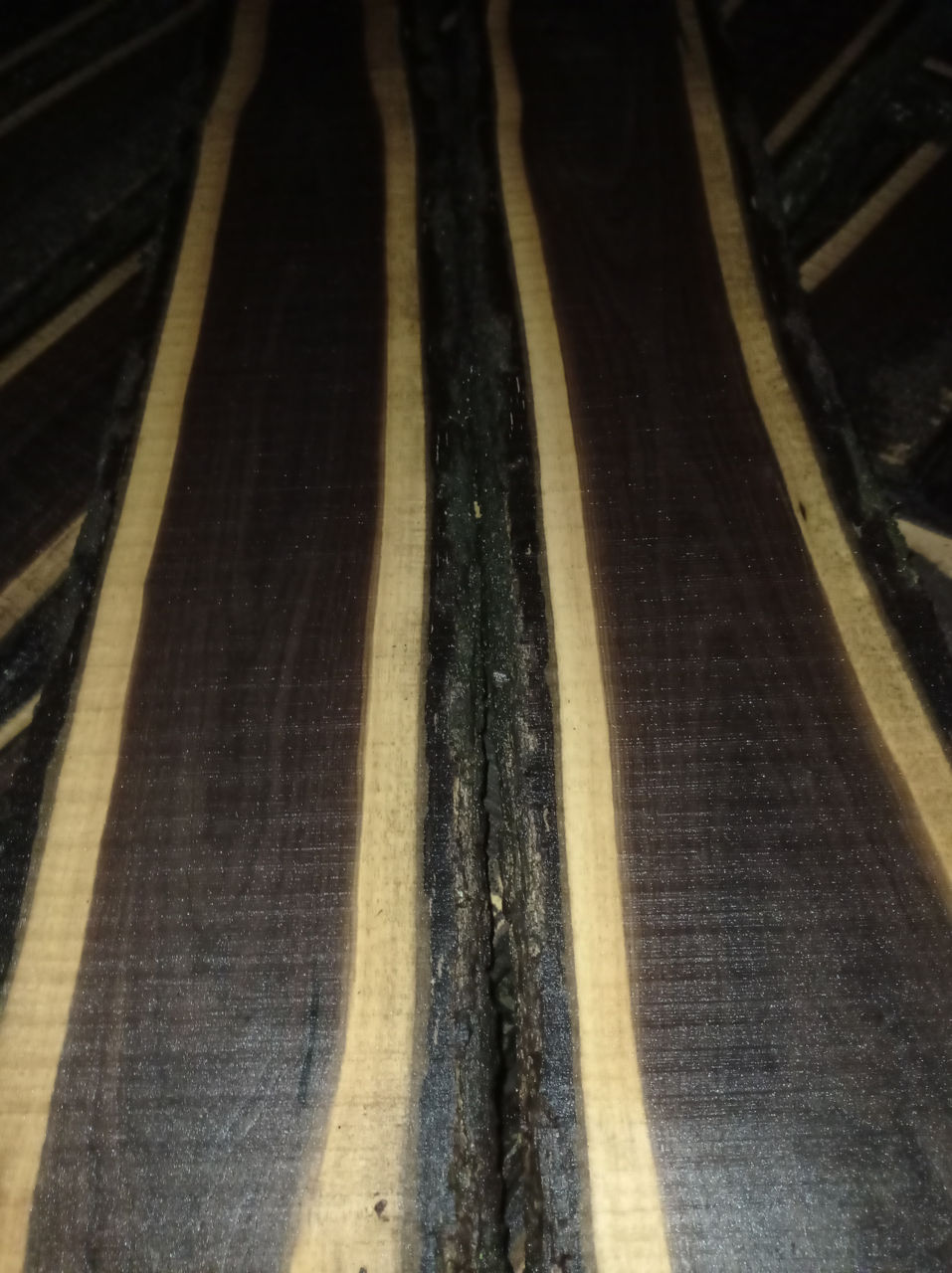 Scindura nuc negru (sălbatic) foto 3