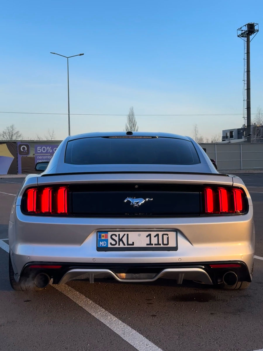 Ford Mustang foto 5