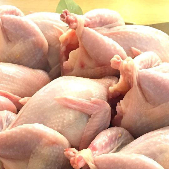 Prepelite: carne, oua, taietei, afumate, marinate, congelate, maioneza, pate, carne inabusita etc.. foto 1