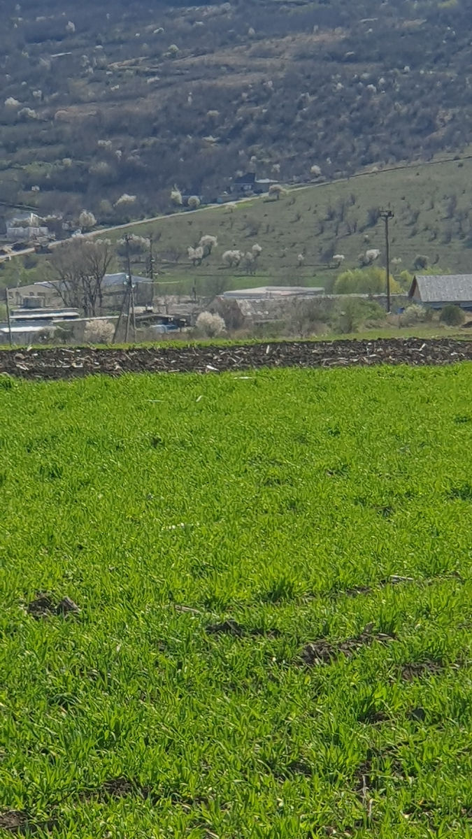 Vind-schimb(masina)0.09ha.,t.gradina,gratiesti-diuolsem!!!-9000e! foto 0
