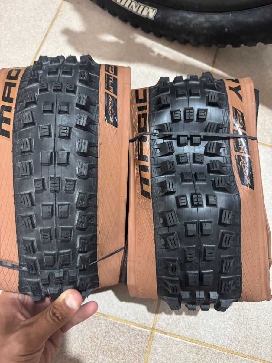 Schwalbe