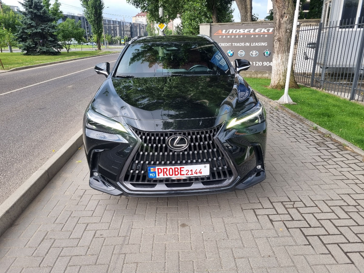 Lexus NX Series 2022 photo 2