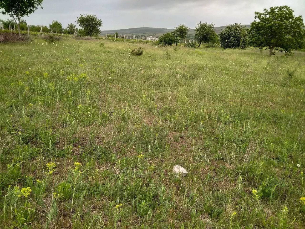 Teren pentru construcții, Hrușova, 14 ari