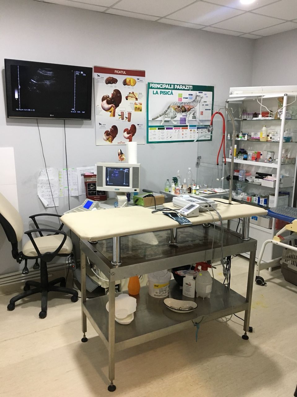 Clinica veterinara Esculap-Vet. foto 0