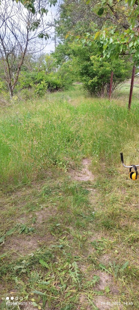 Ofer  servicii    cosit  iarba, puieți de vișin  cu motocoasa foto 3