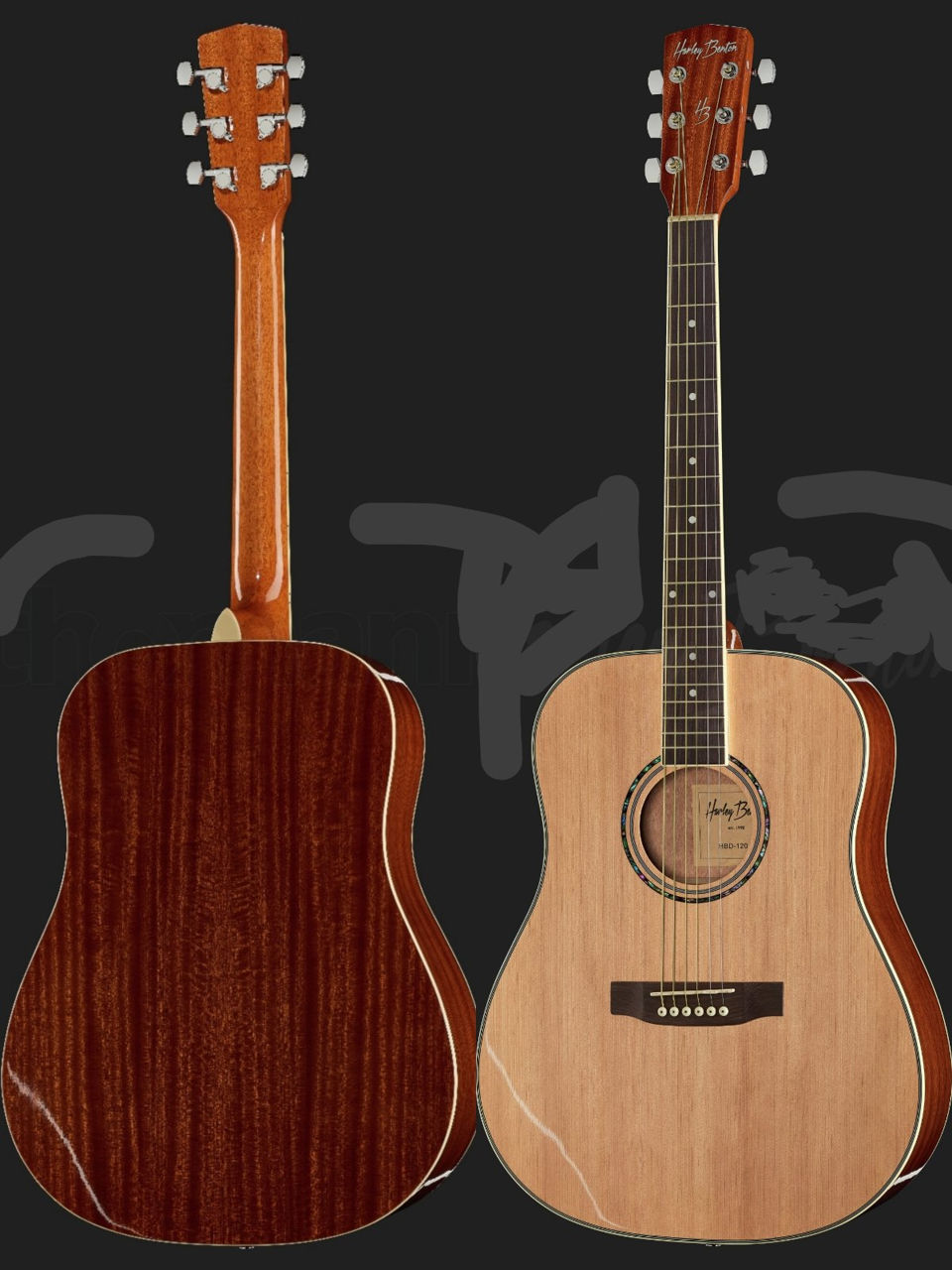 Fender, Aria.... guitars folck rock instrument..acoustic folk rok. Hi foto 2