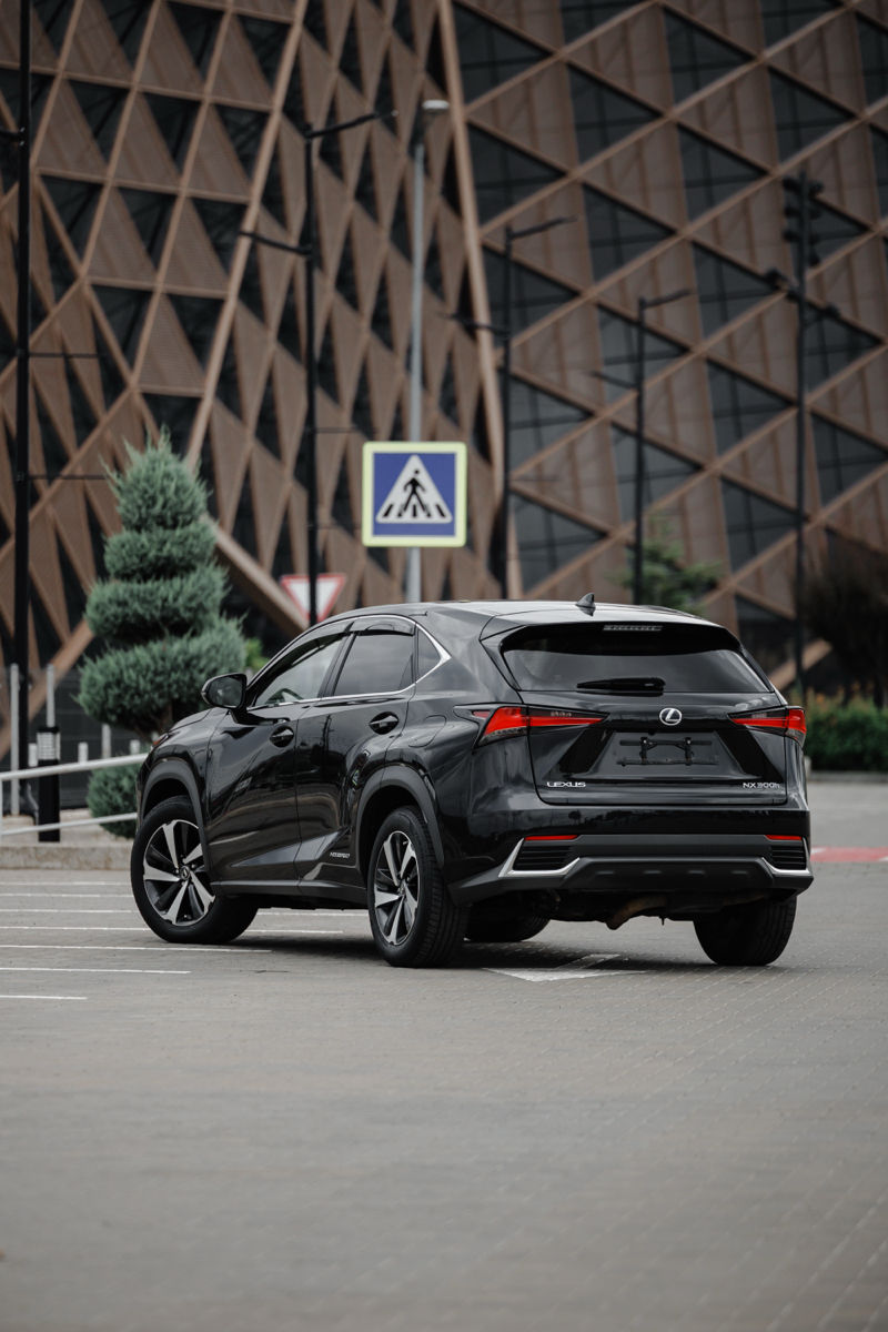 Lexus NX Series foto 6