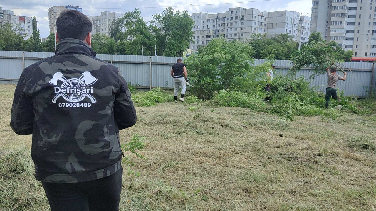 Servicii de curățare și întreținere a terenurilor foto 10