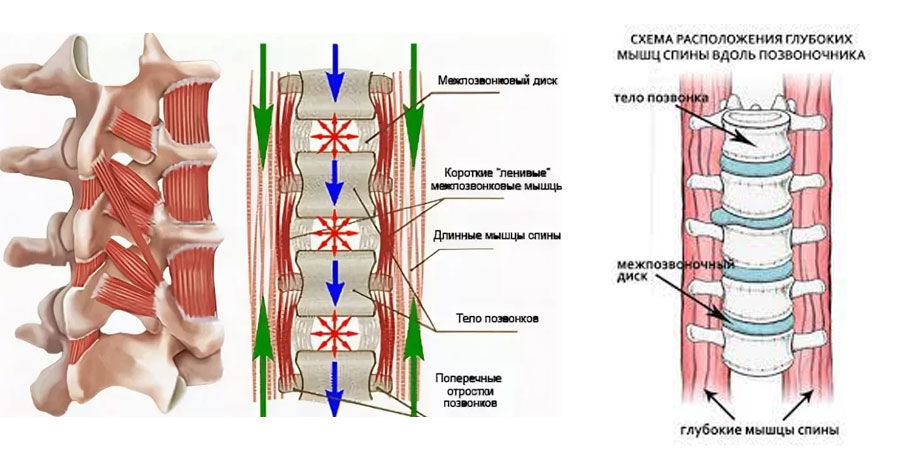 Стул-тренажер foto 4