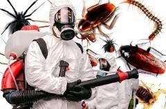 Dezinfecție, deratizare, dezinsectie în Moldova (capuse, gandaci, soareci, tintari, plosnite etc.) foto 0