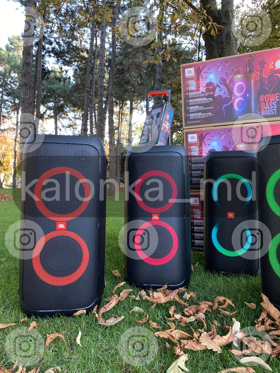 JBL 310 Аренда Прокат Chirie, Бесплатная доставка+Микрофон!!! foto 0
