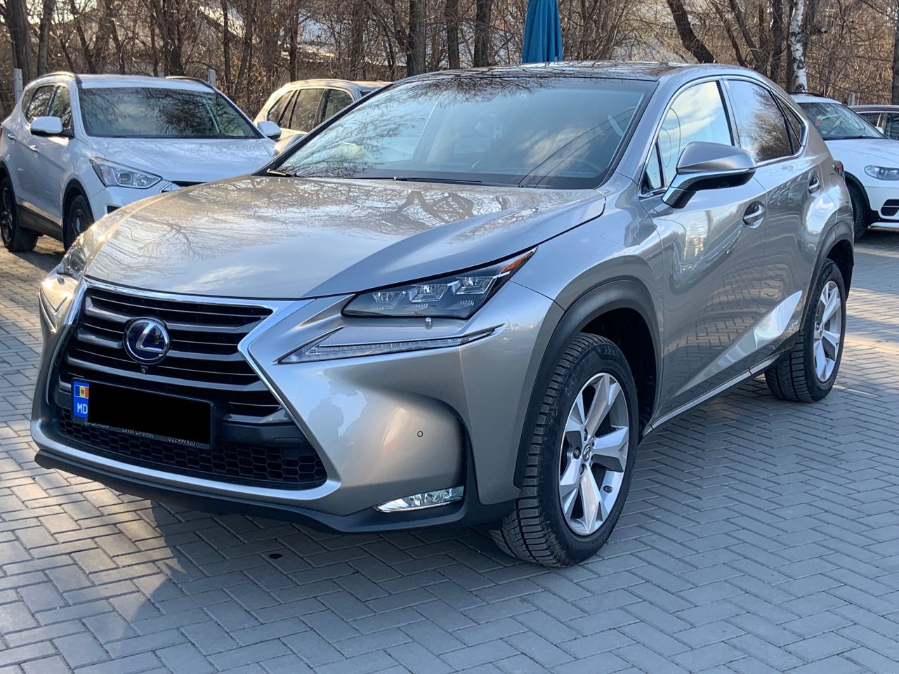 Lexus NX Series foto 1