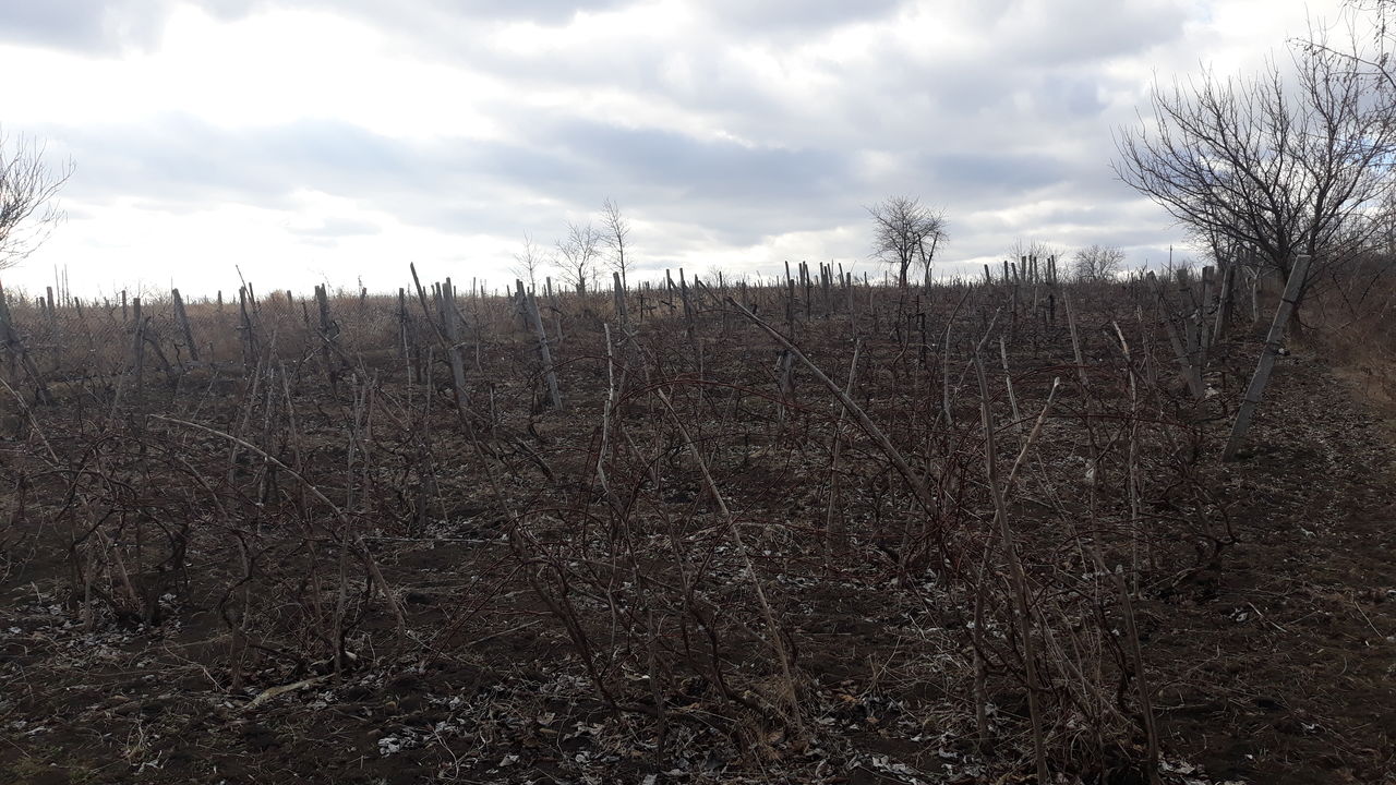 Se vinde casă în satul Cajba. фото 6