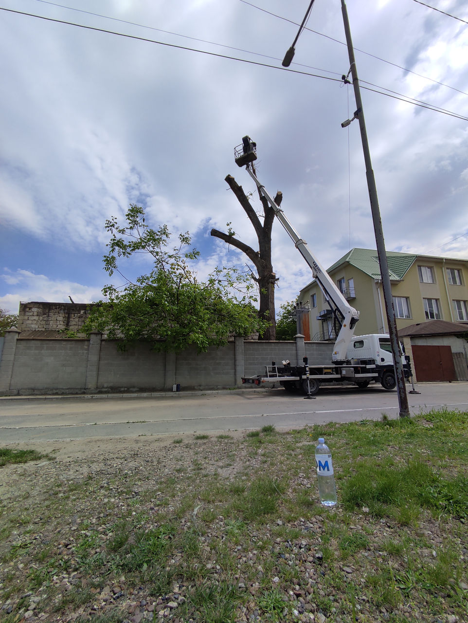 Facem curat in gradina linga casă curat la vila foto 9