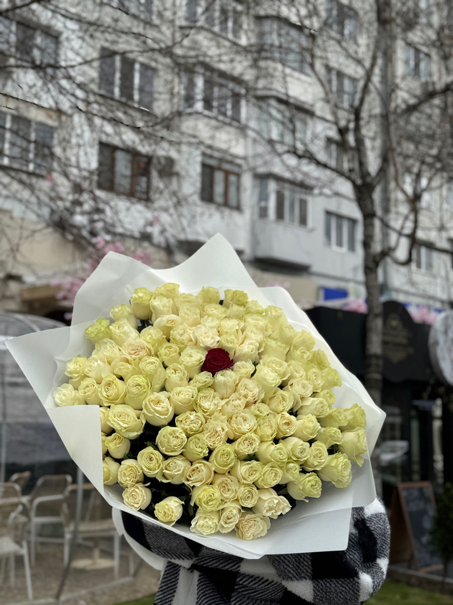 Oferte speciale la lalele! 51 la 1000 lei / soiuri olandeze! foto 5