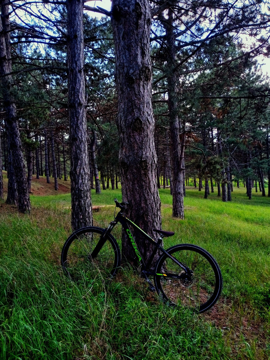 Orbea mx 26 dirt foto 3