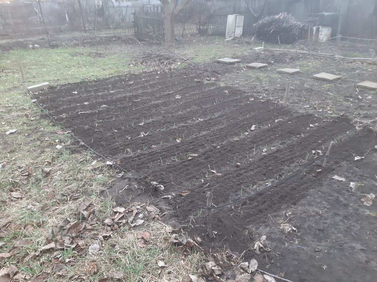 Дом под снос