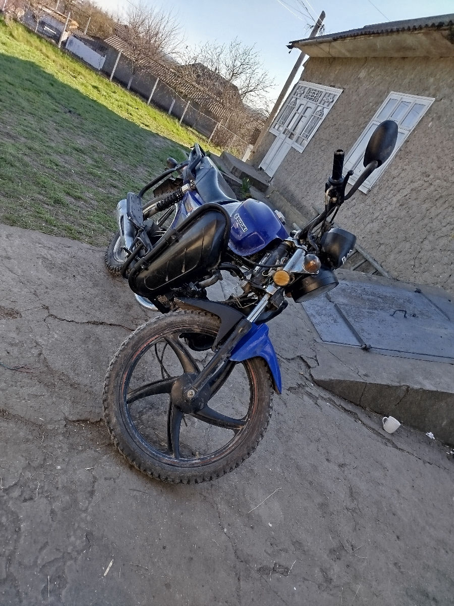 Alpha Moto alpha champ foto 2