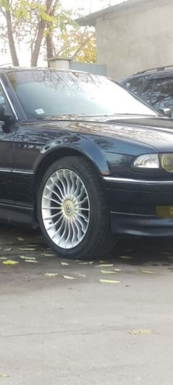 Alpina foto 1