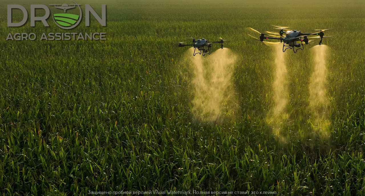 Stropire Agricolă Profesională cu Drone Agricole/ Профессиональное Опрыскивание Полей Агро Дронами  foto 14