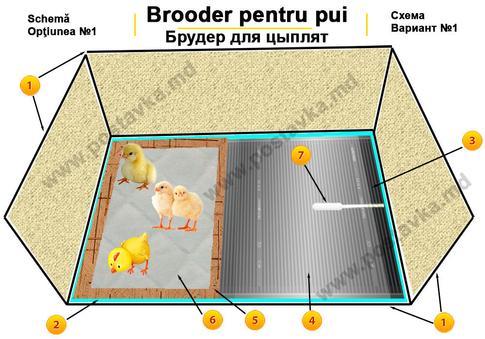 Схема брудера для цыплят
