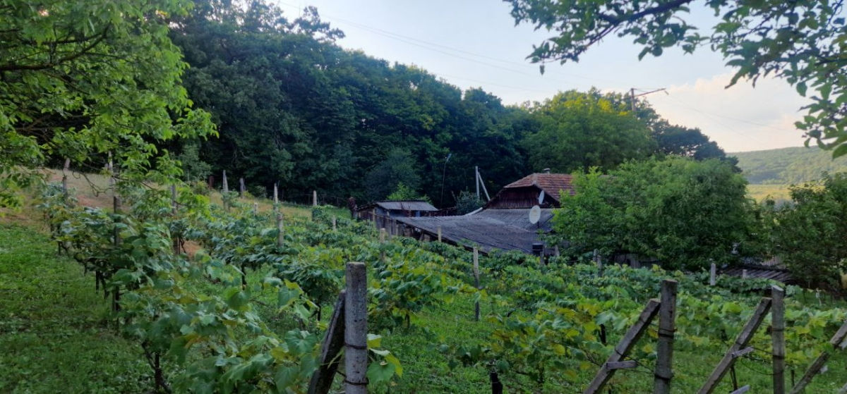 Продаётся дом в селе Мындра (район Калараш)! фото 7