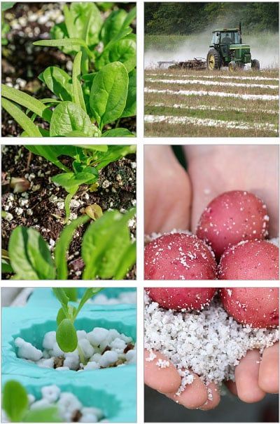 Perlit agricol. Перлит для растений. foto 1