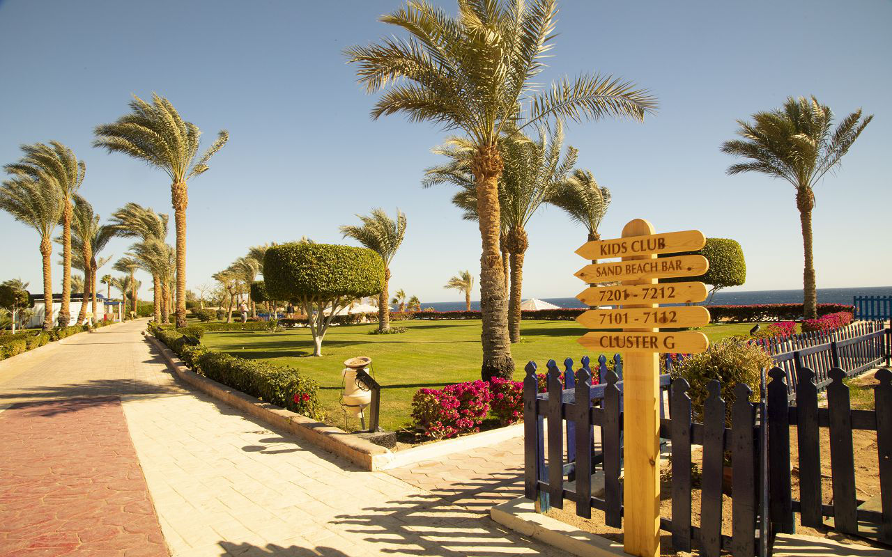 Grand Oasis Resort 4*+,Sharm EL Sheikh. Бухта Sharks Bay-хороший риф! foto 2