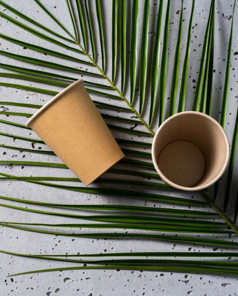 Pahare din carton pentru cafea / ceai foto 2