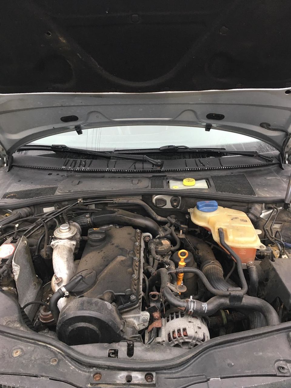 Запчасти -Volkswagen Passat, B5 - B5+ 2005 1.9 TDI