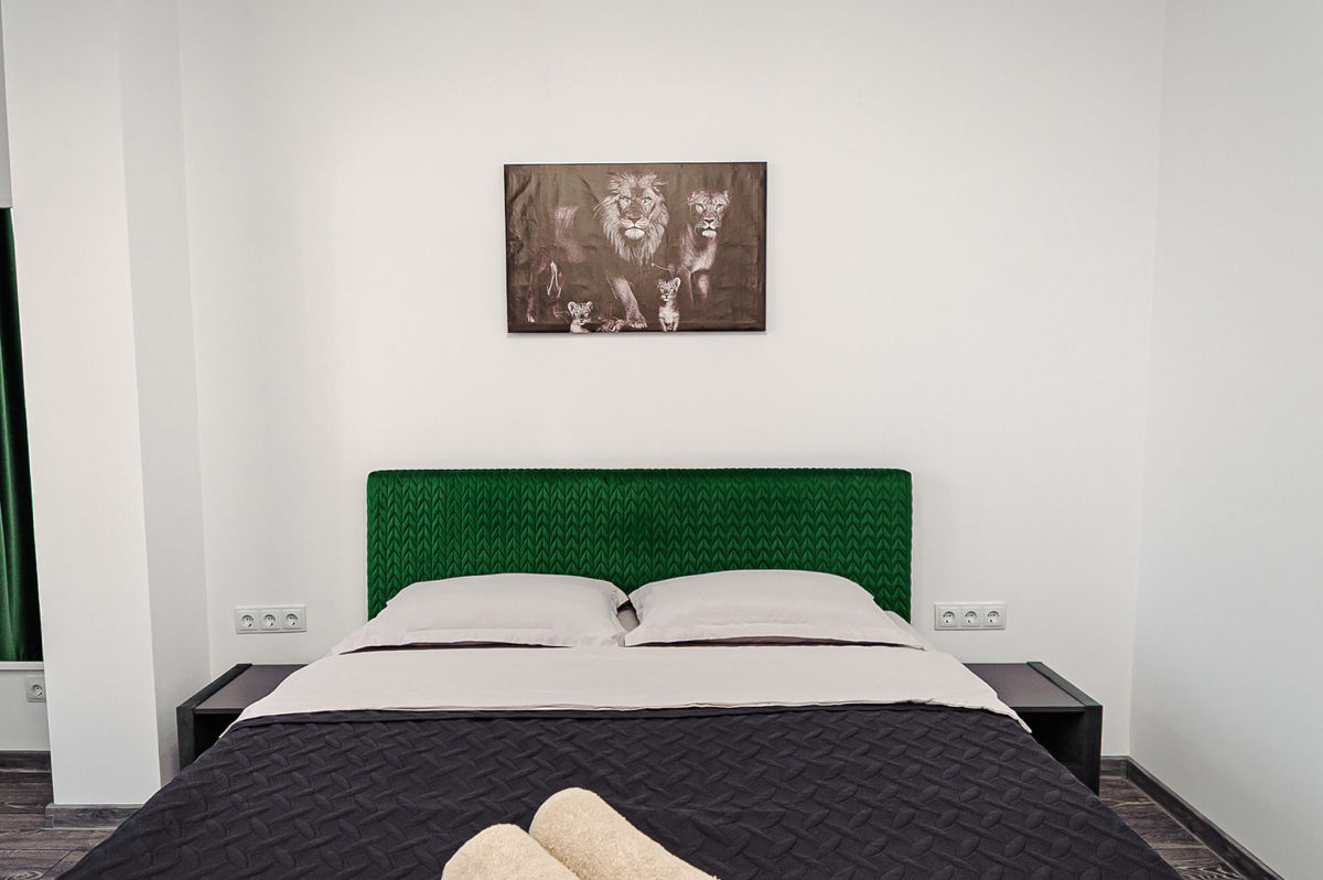 Apartament cu 1 cameră,  Centru,  Chișinău,  Chișinău mun. foto 7