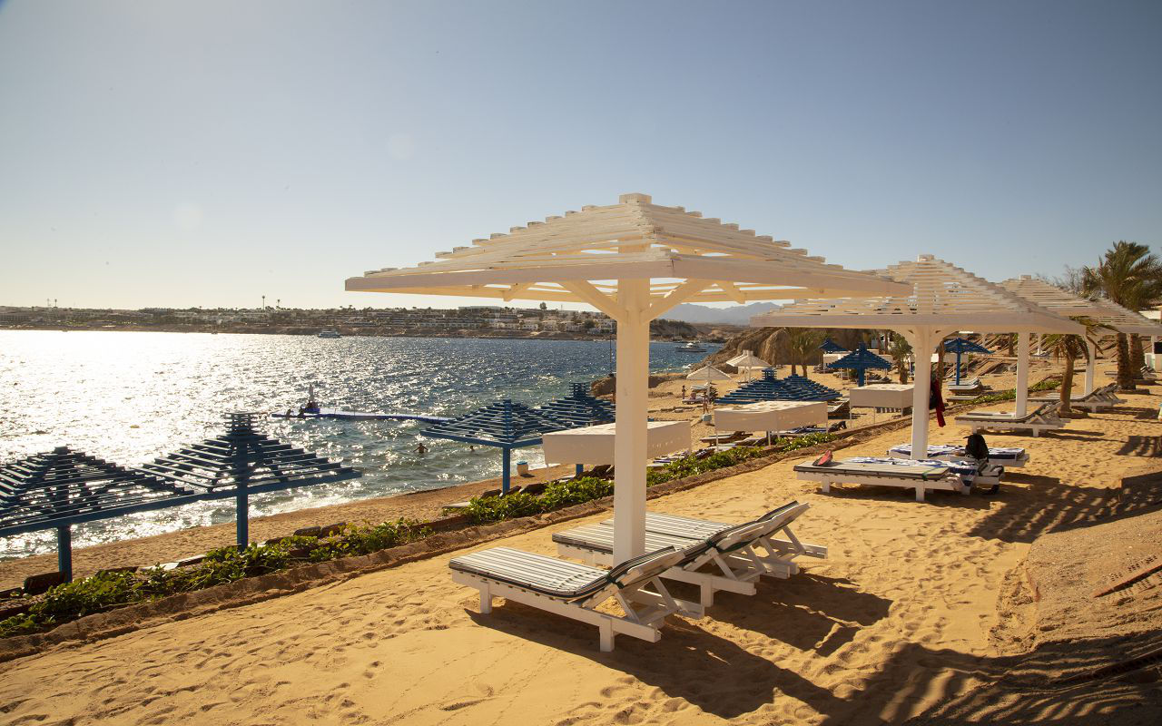 Grand Oasis Resort 4*+,Sharm EL Sheikh. Бухта Sharks Bay-хороший риф! foto 5