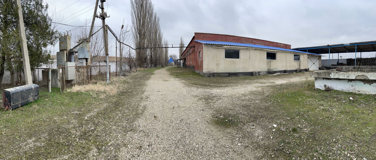 Zaim Промышленный холодильник  фото 4