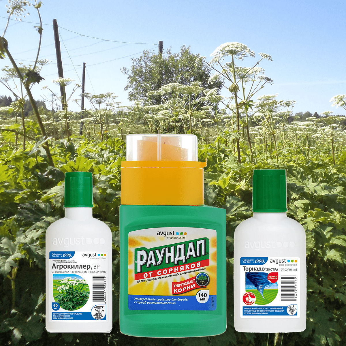 Erbicide - insecticide - porumb/griu/orz/seminte pret avantajos foto 0