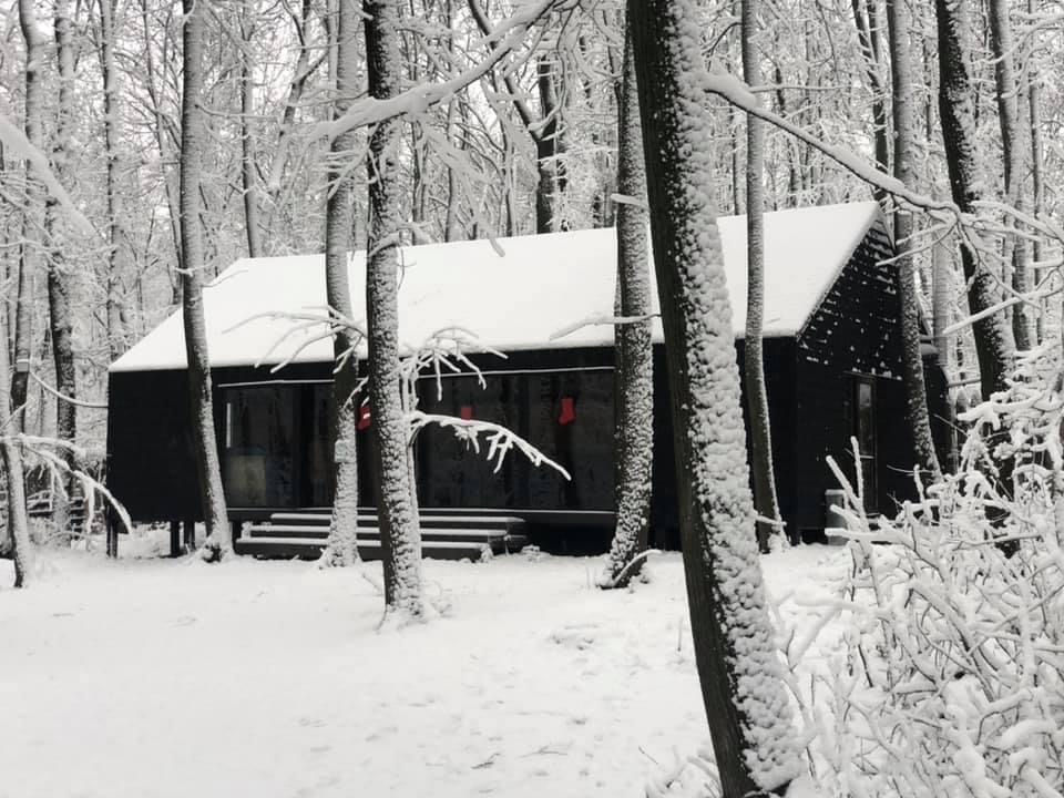 Baza de odihna Durlesti GoldenPark Sauna Închirierea Foișoare/Case foto 3