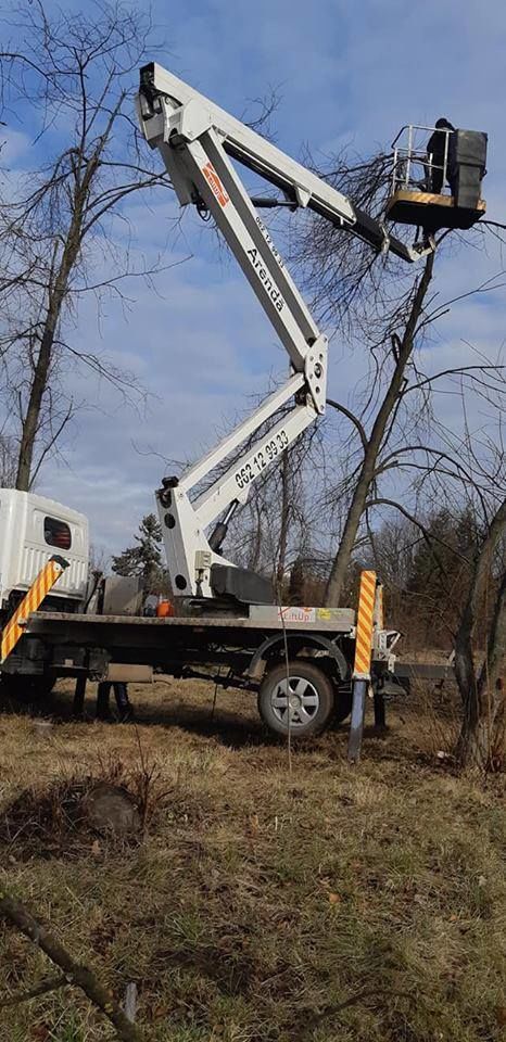 Tăierea copacilor înclinați sau deteriorați- cu masini si echipamente speciale .Calitatea garantată foto 4