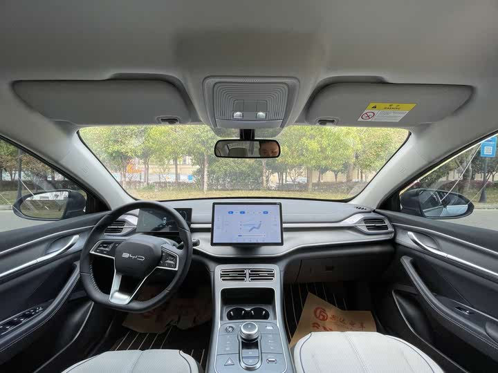 Byd Destroyer 05 фото 2