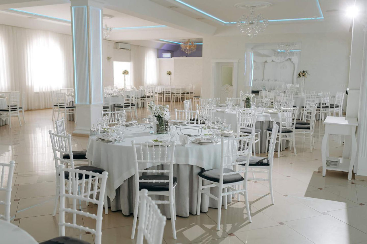 Scaune chiavari(tiffany) in stoc foto 8