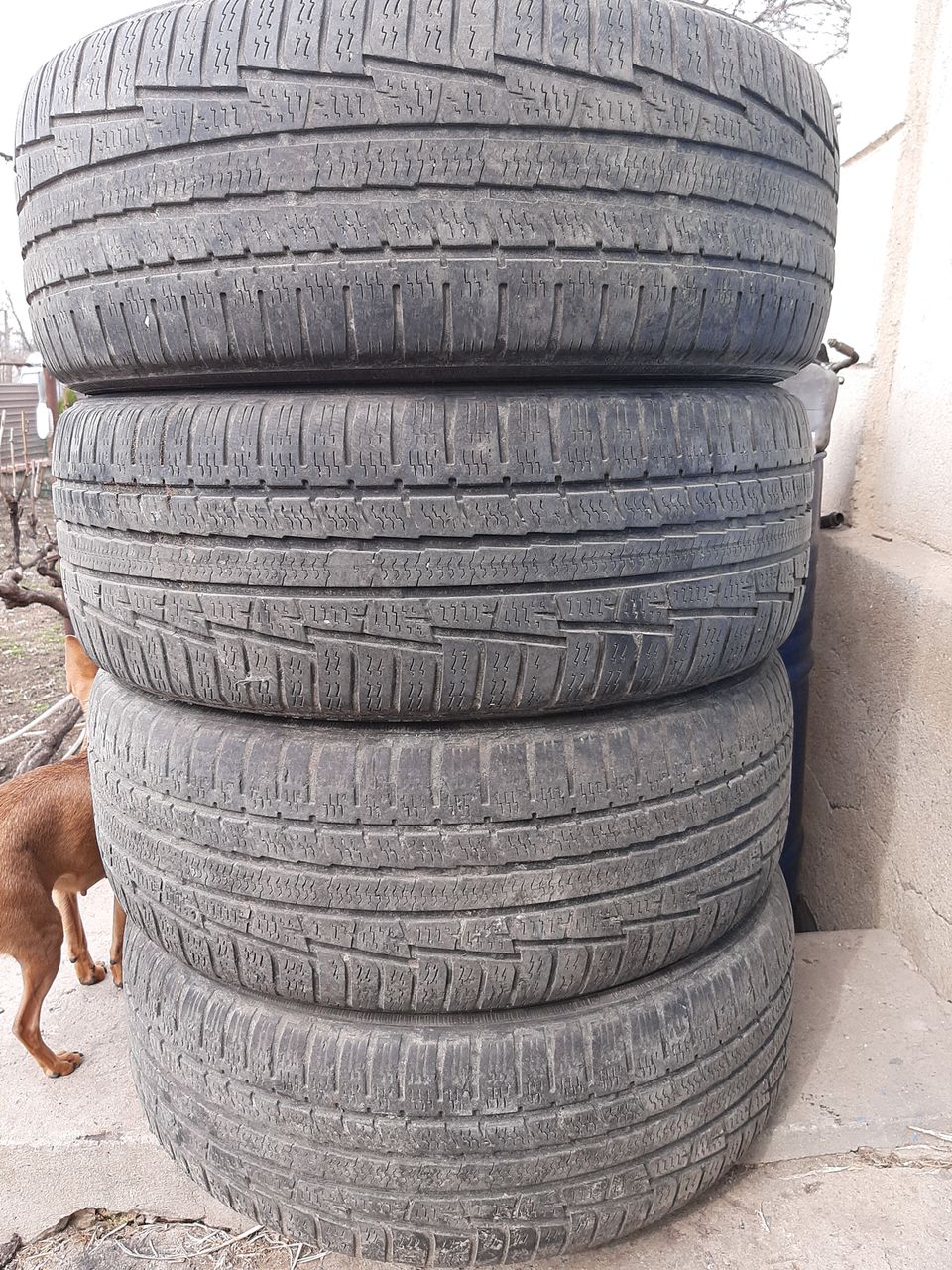 nokian 215.55.R17