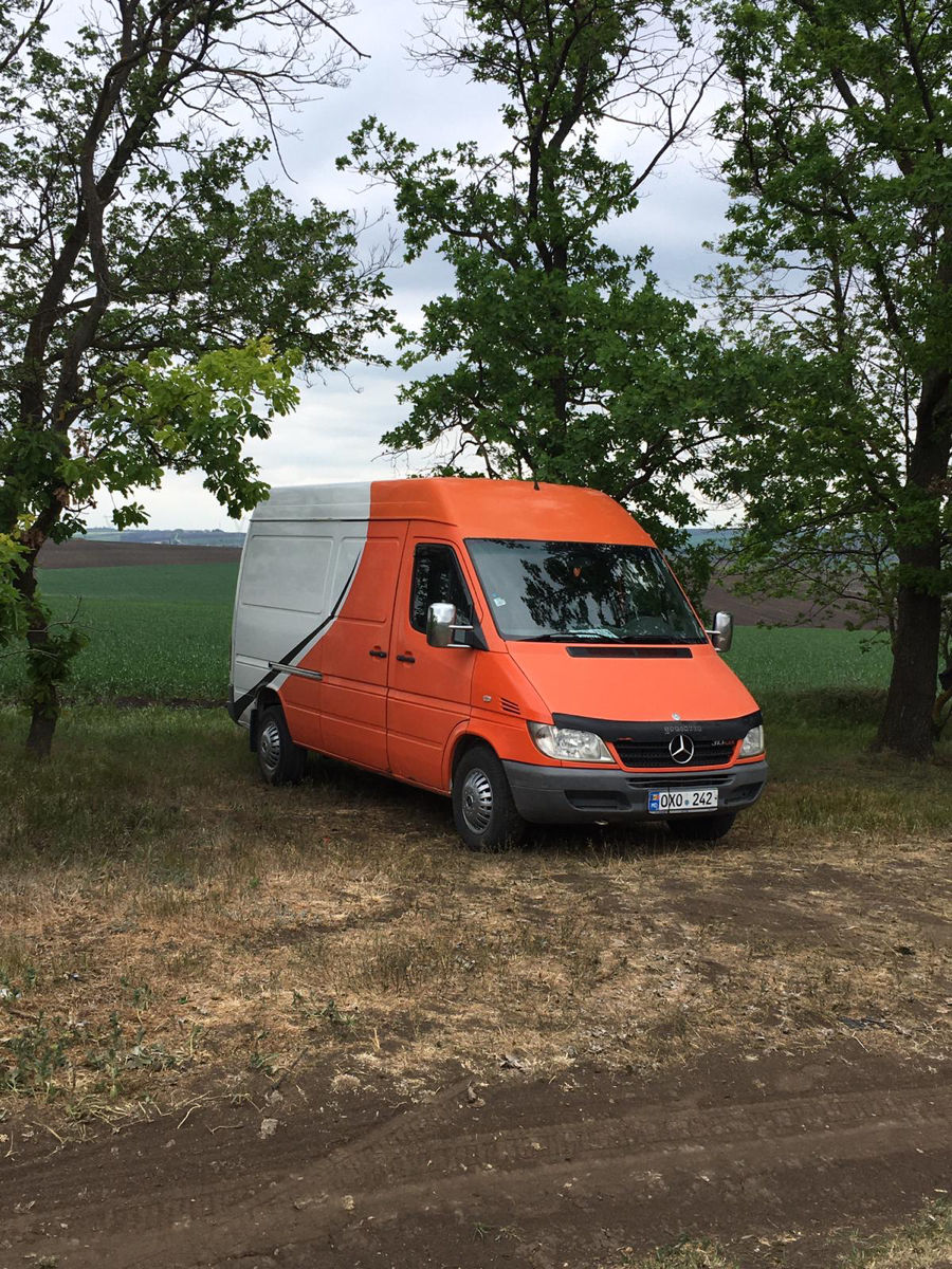 Mercedes 313 foto 3