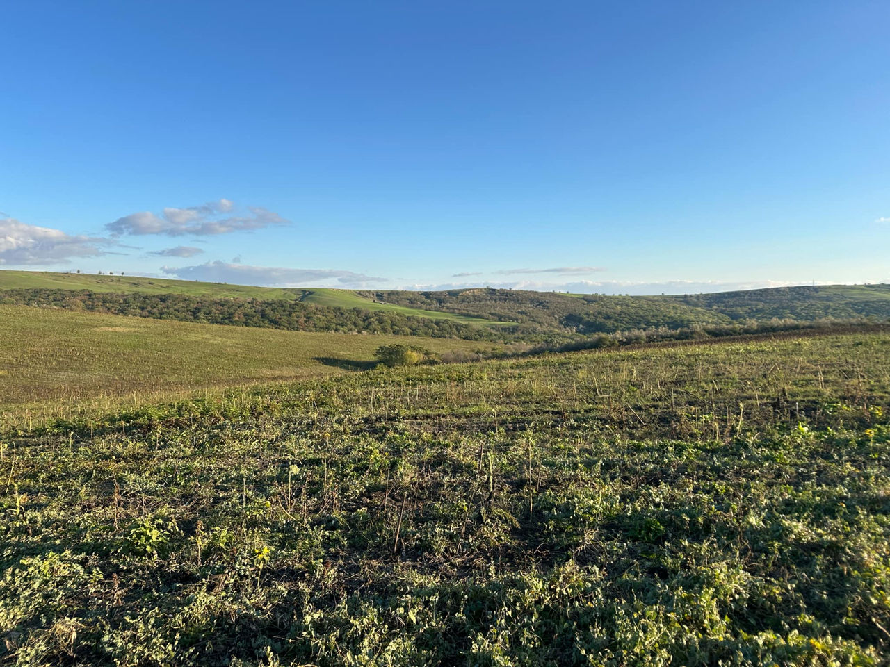 Vindem Teren Agricol cu Livadă 10ha+viță de vie 4ha+5ha  teren arabil. Țepoaia, comunaTigheci, Leova foto 16