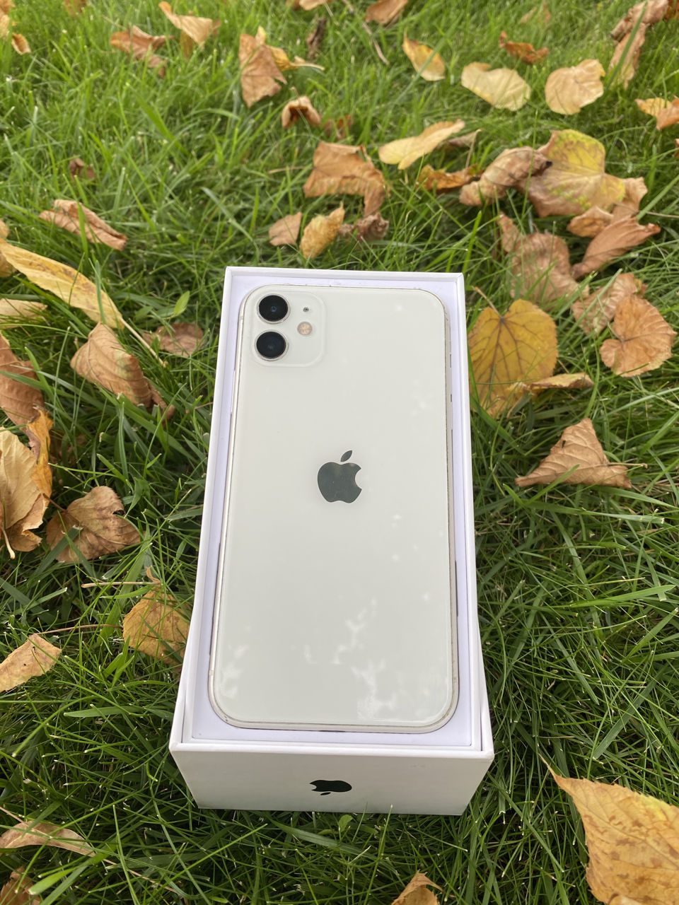 Iphon 11