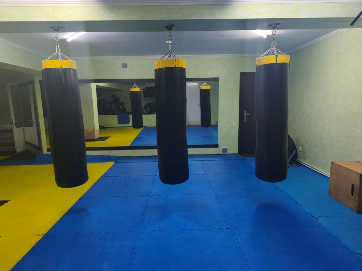 Saci de box 1.60 60kg  Acum la cel mai bun pret   livrare oriunde  foto 0