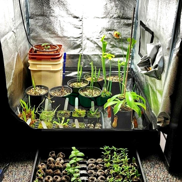 Mini sere pentru casa, GrowBox, Grow Tent, camera de crestere foto 1